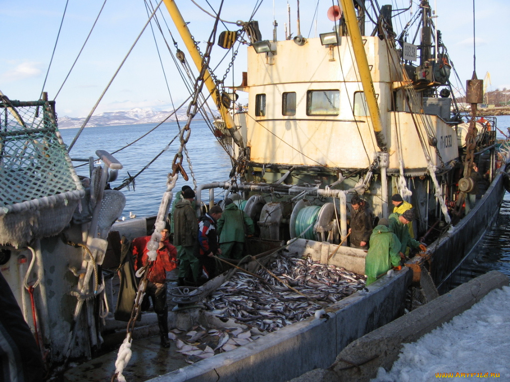 корабли, другое