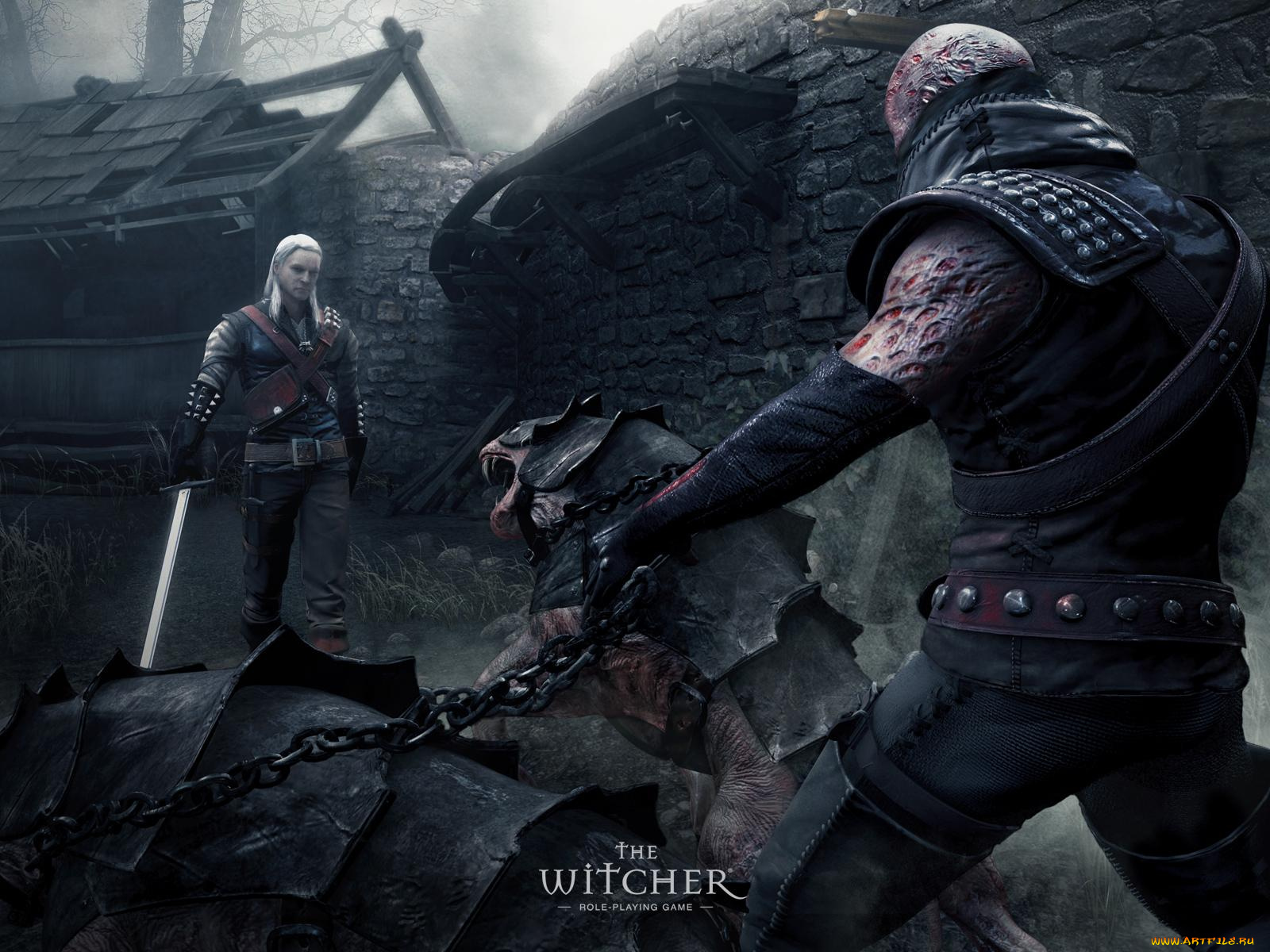 witcher, видео, игры, the