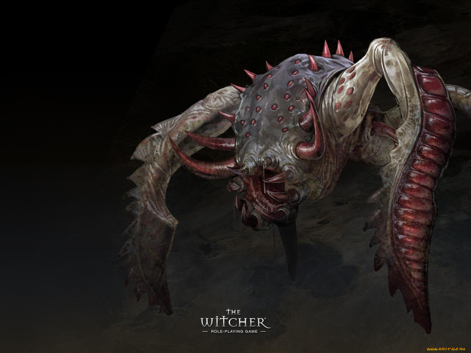 witcher, видео, игры, the