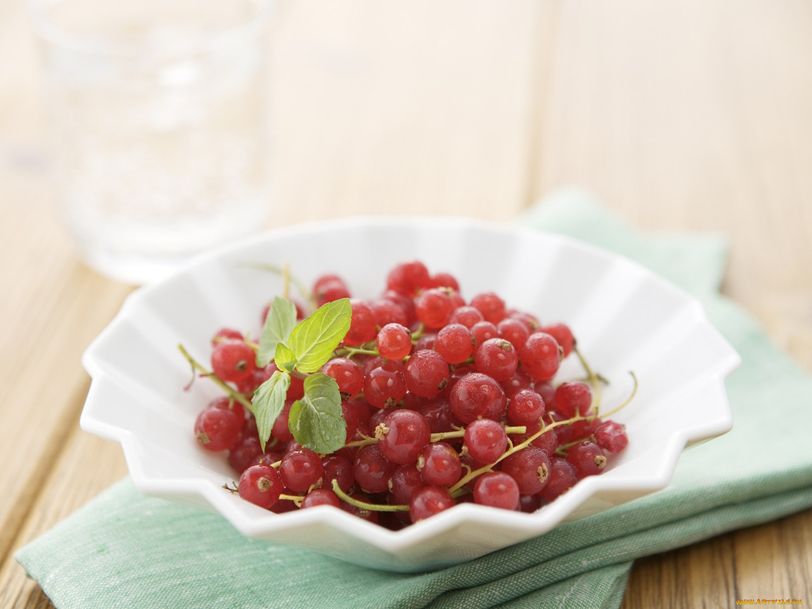 еда, смородина