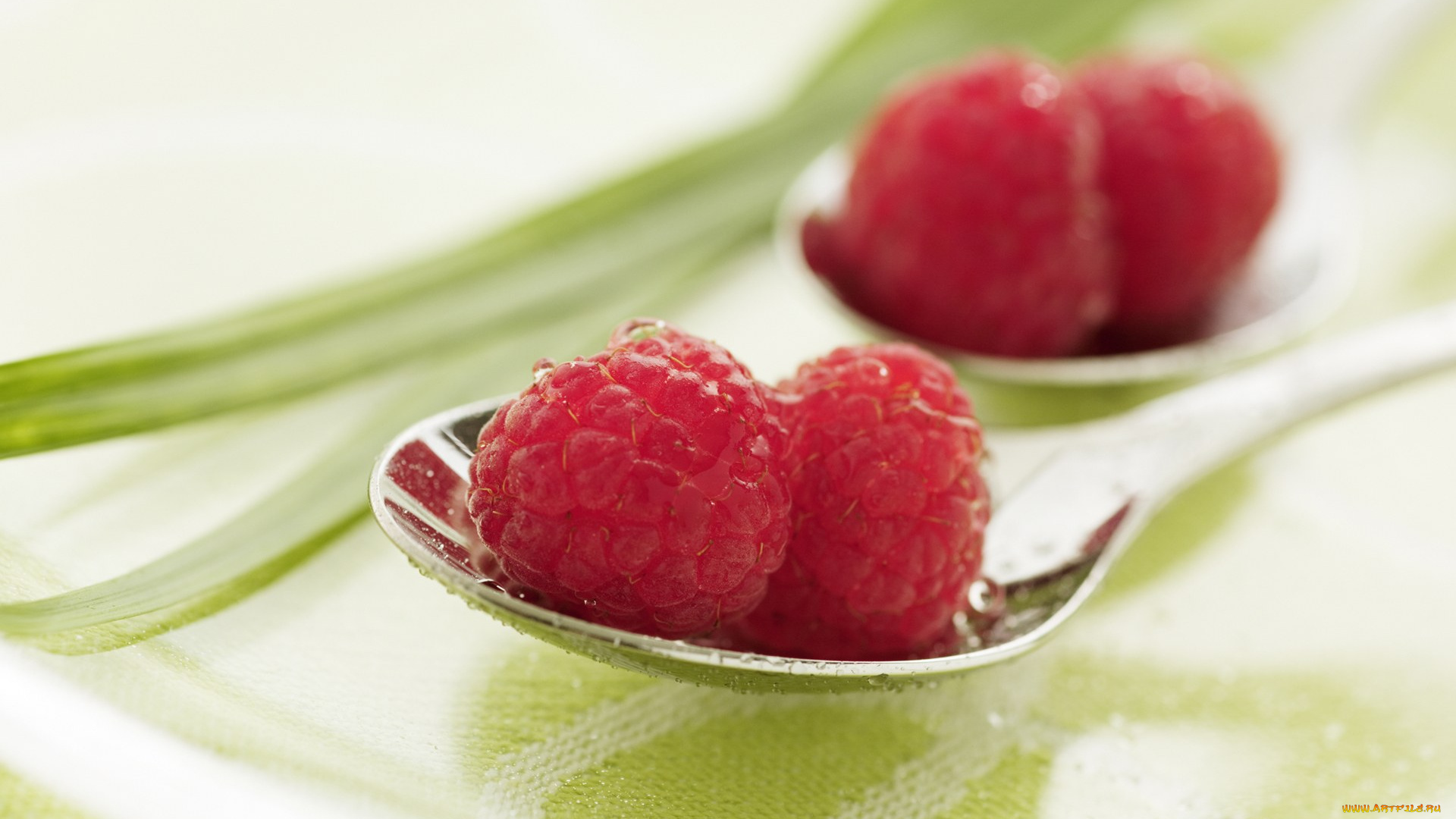 еда, малина