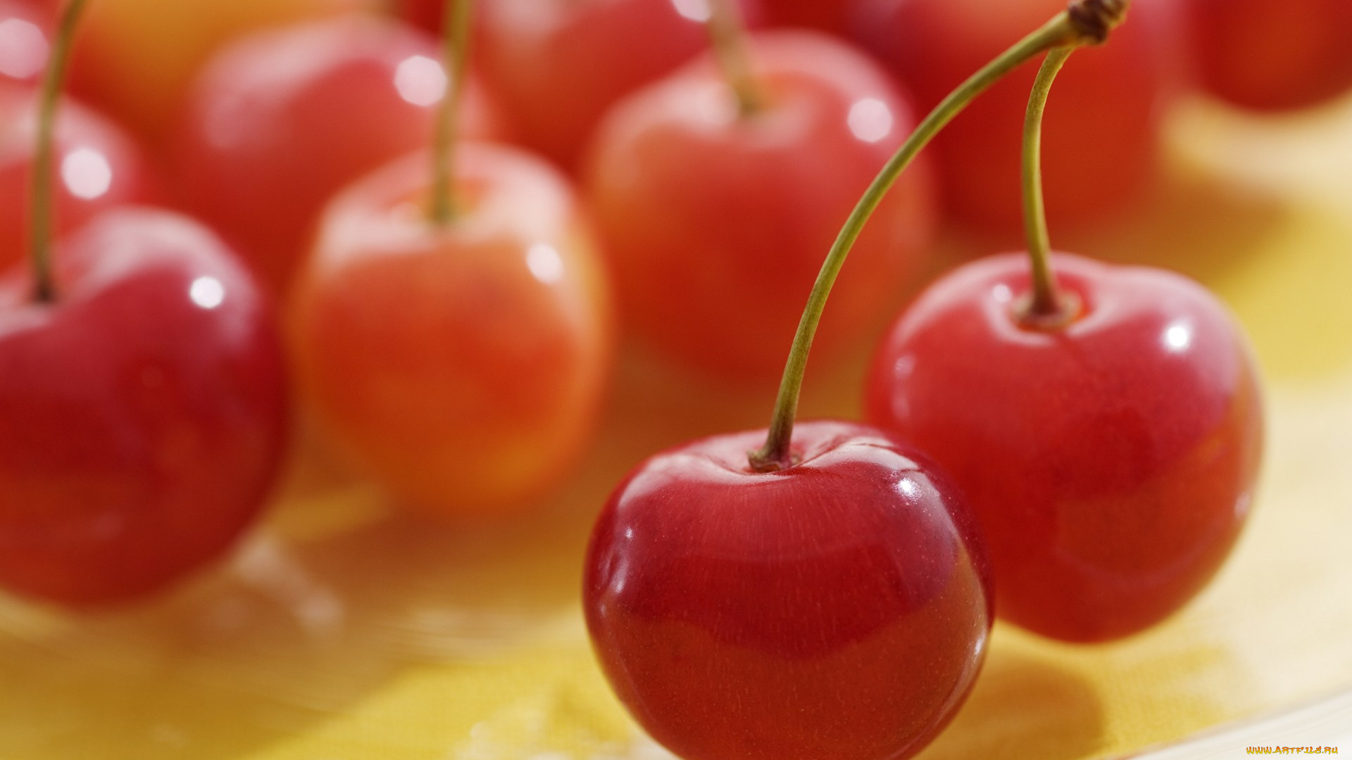 еда, вишня, черешня