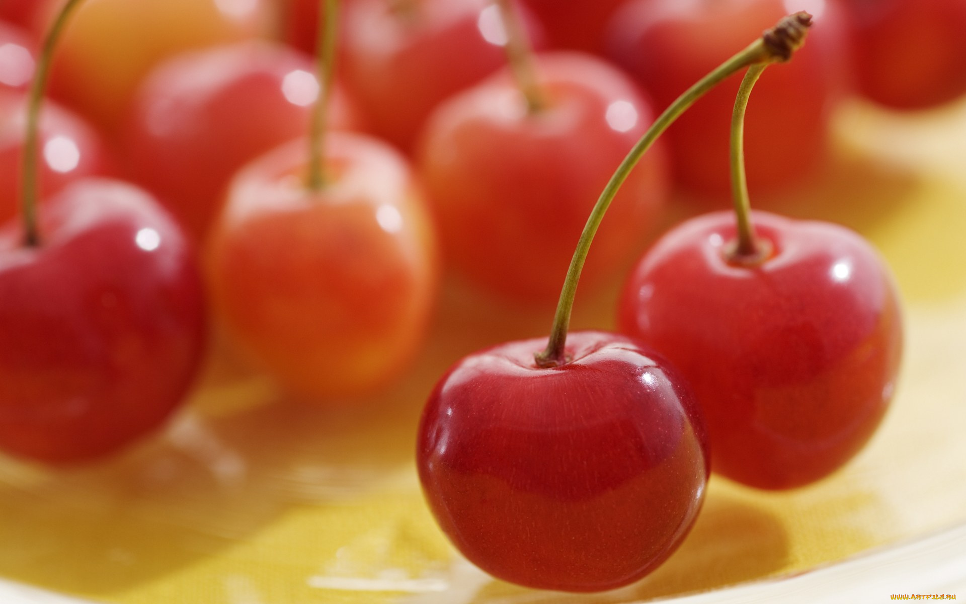 еда, вишня, черешня