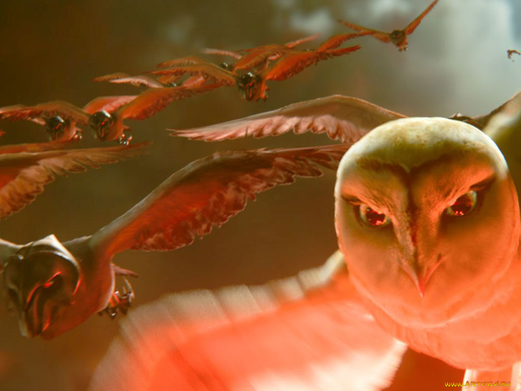 легенда, стражах, мультфильмы, legend, of, the, guardians, owls, ga’hoole