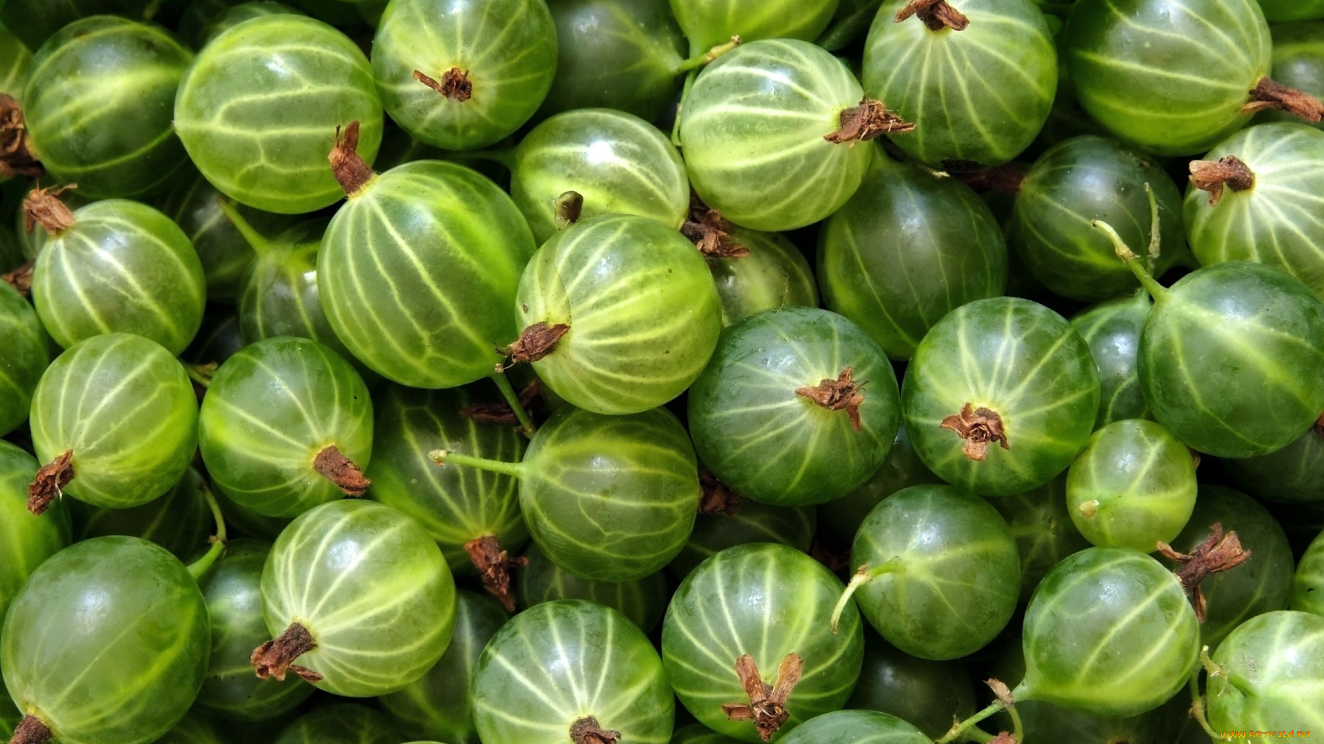 еда, крыжовник