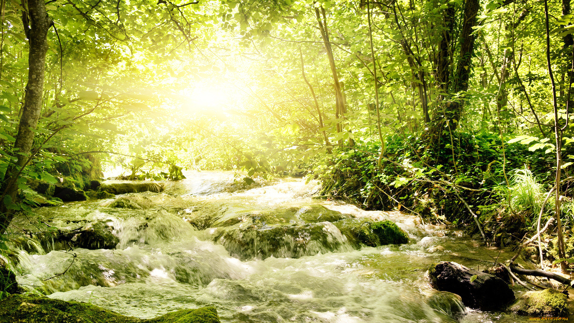 природа, реки, озера