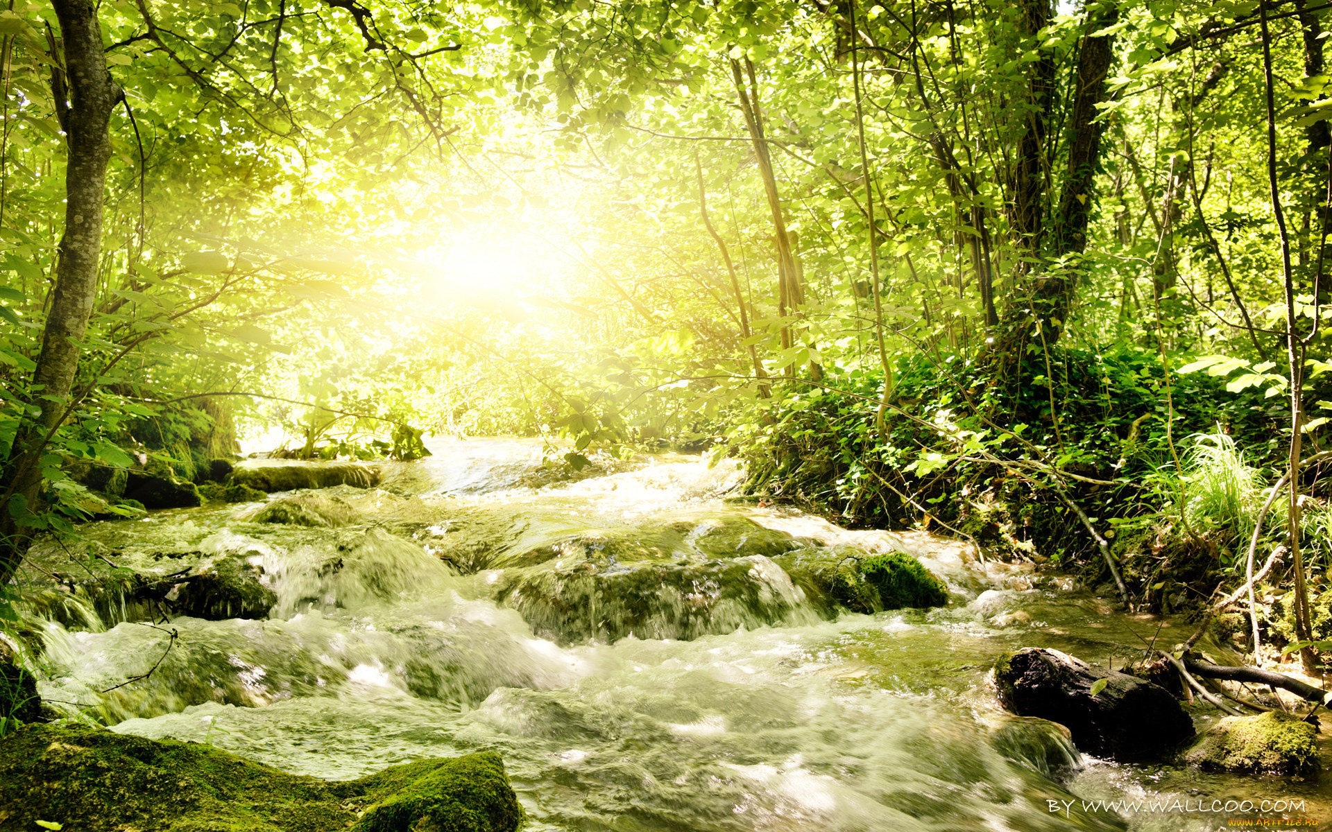 природа, реки, озера