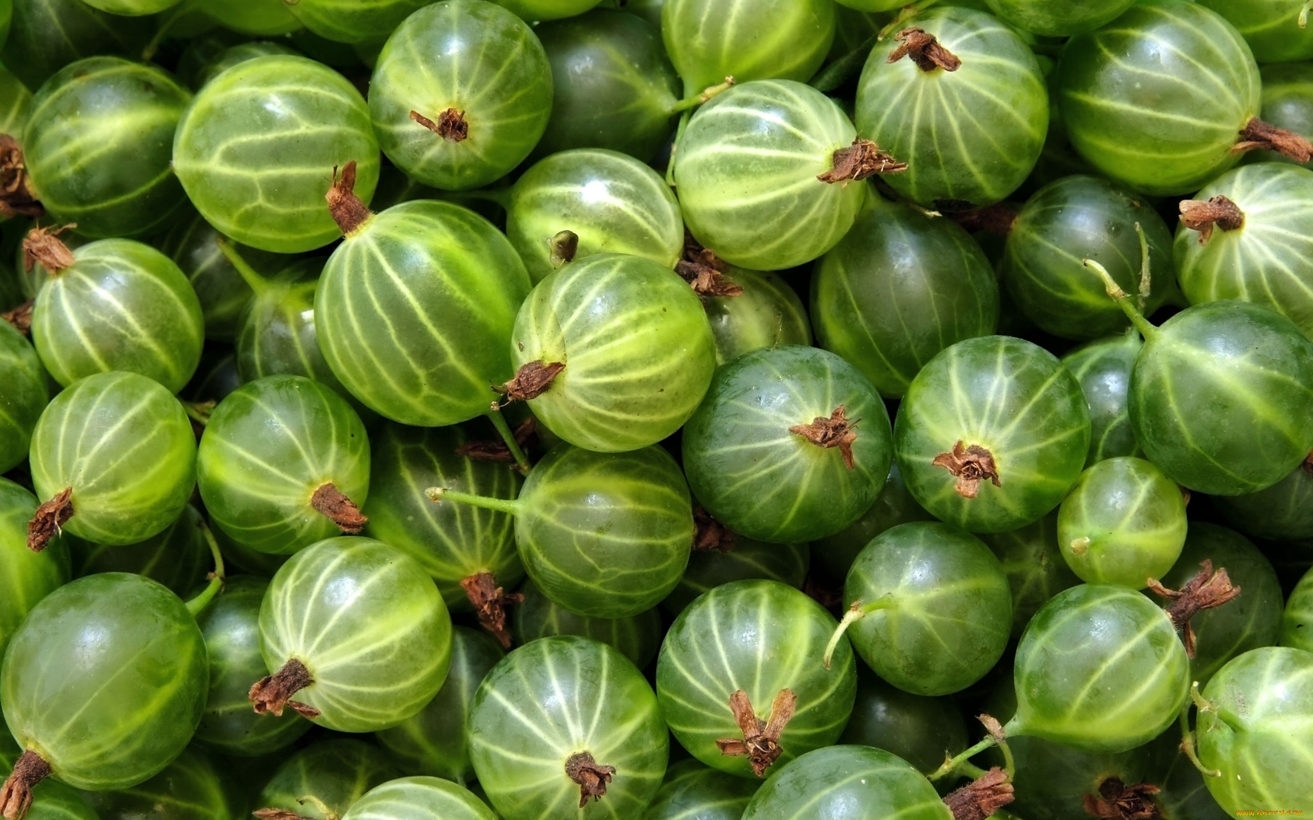 еда, крыжовник