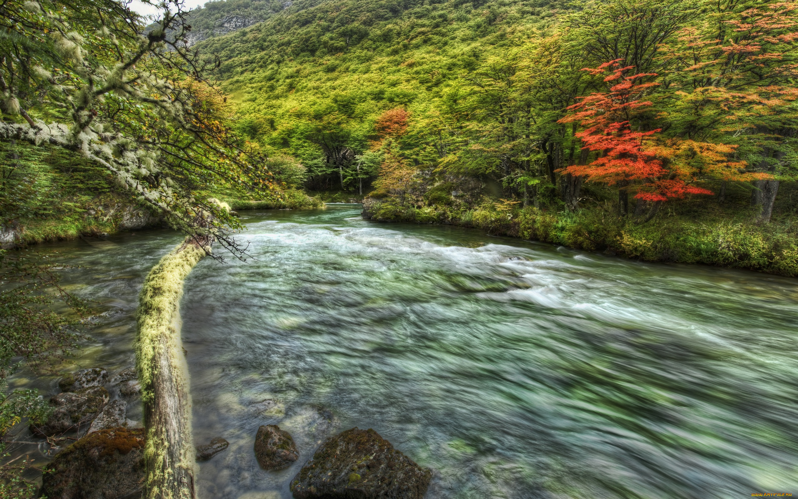 природа, реки, озера