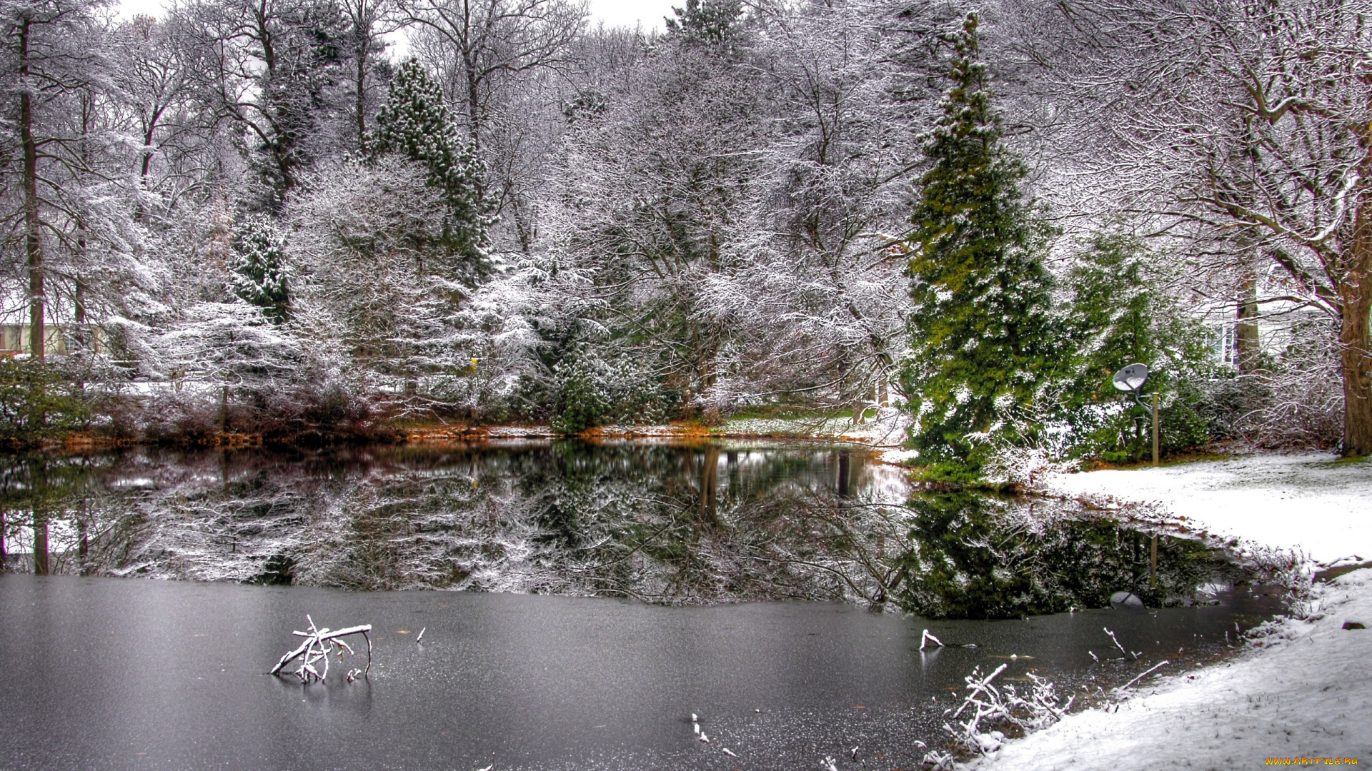 природа, зима