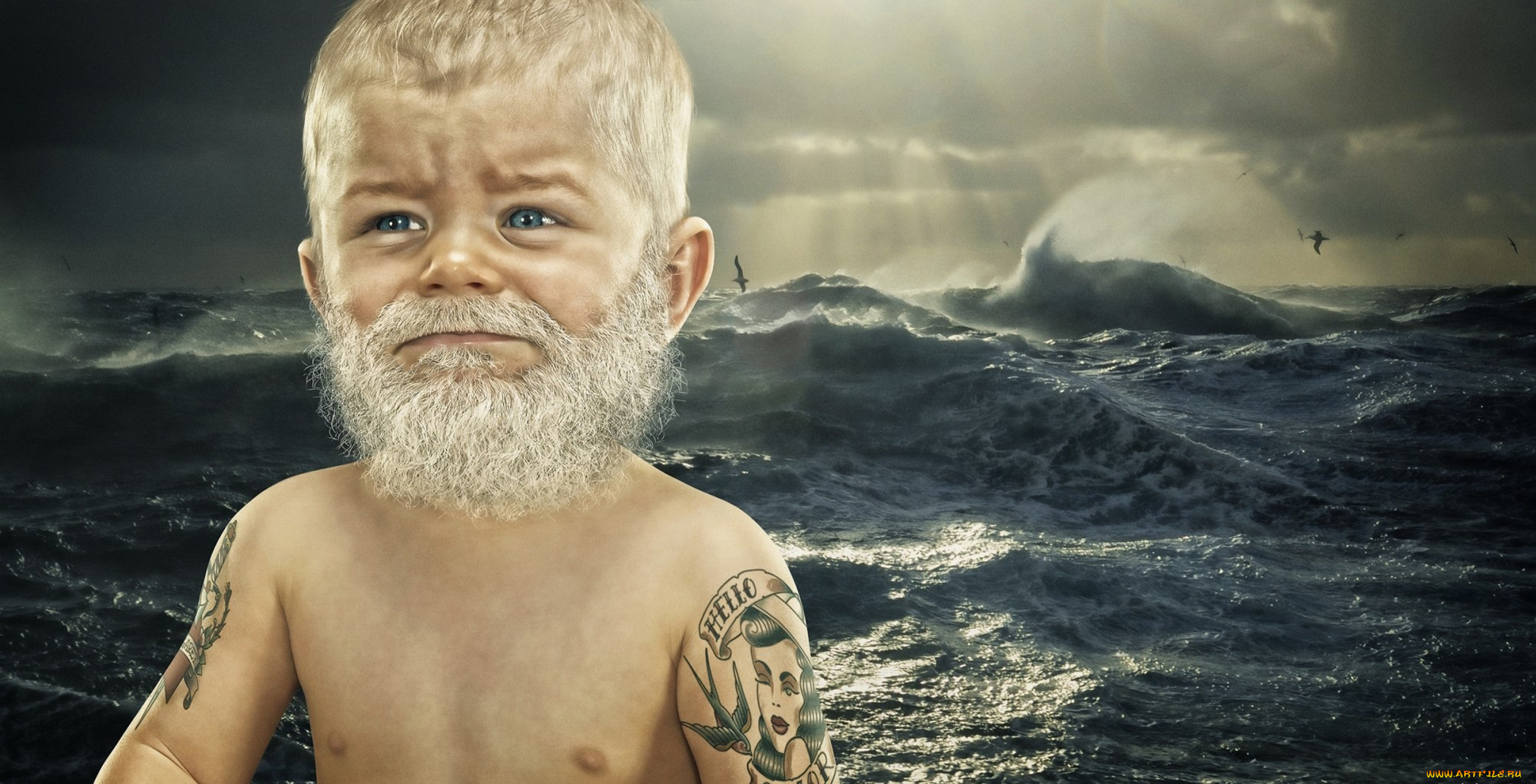 юмор, приколы, море, птицы, тату