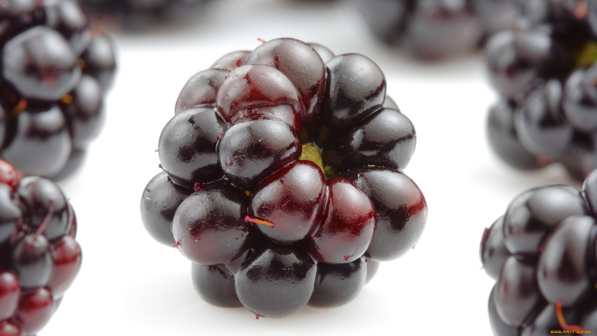 еда, ежевика, blackberries, ягоды, аппетитно