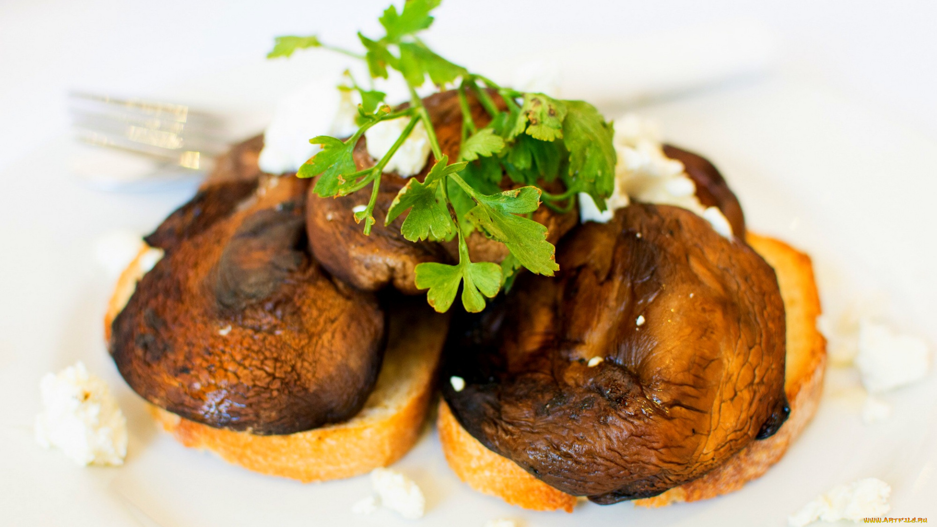 еда, грибы, , грибные, блюда, гренки, жареные, зелень