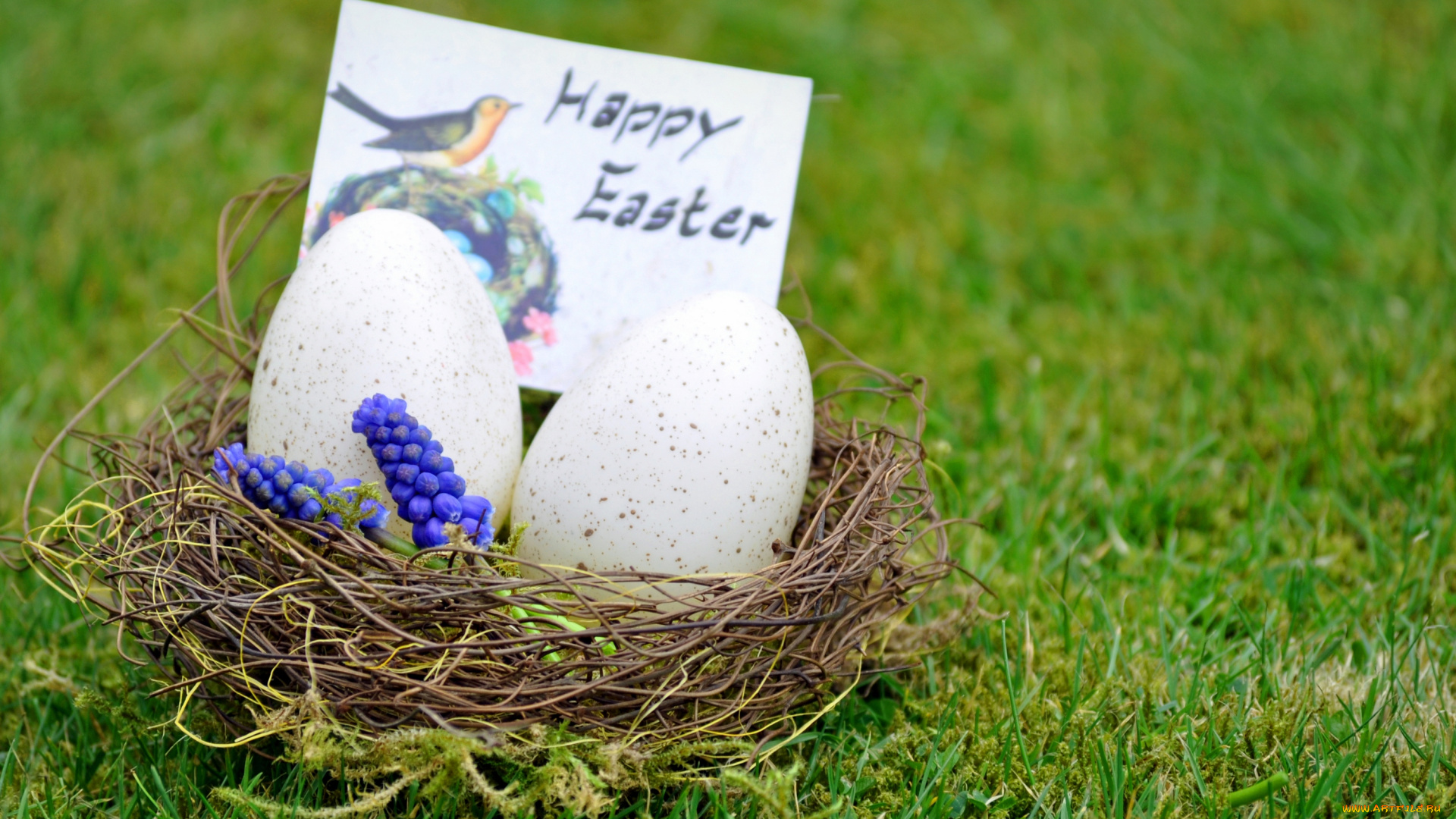 праздничные, пасха, easter, яйцо, цветы, трава, гнездо