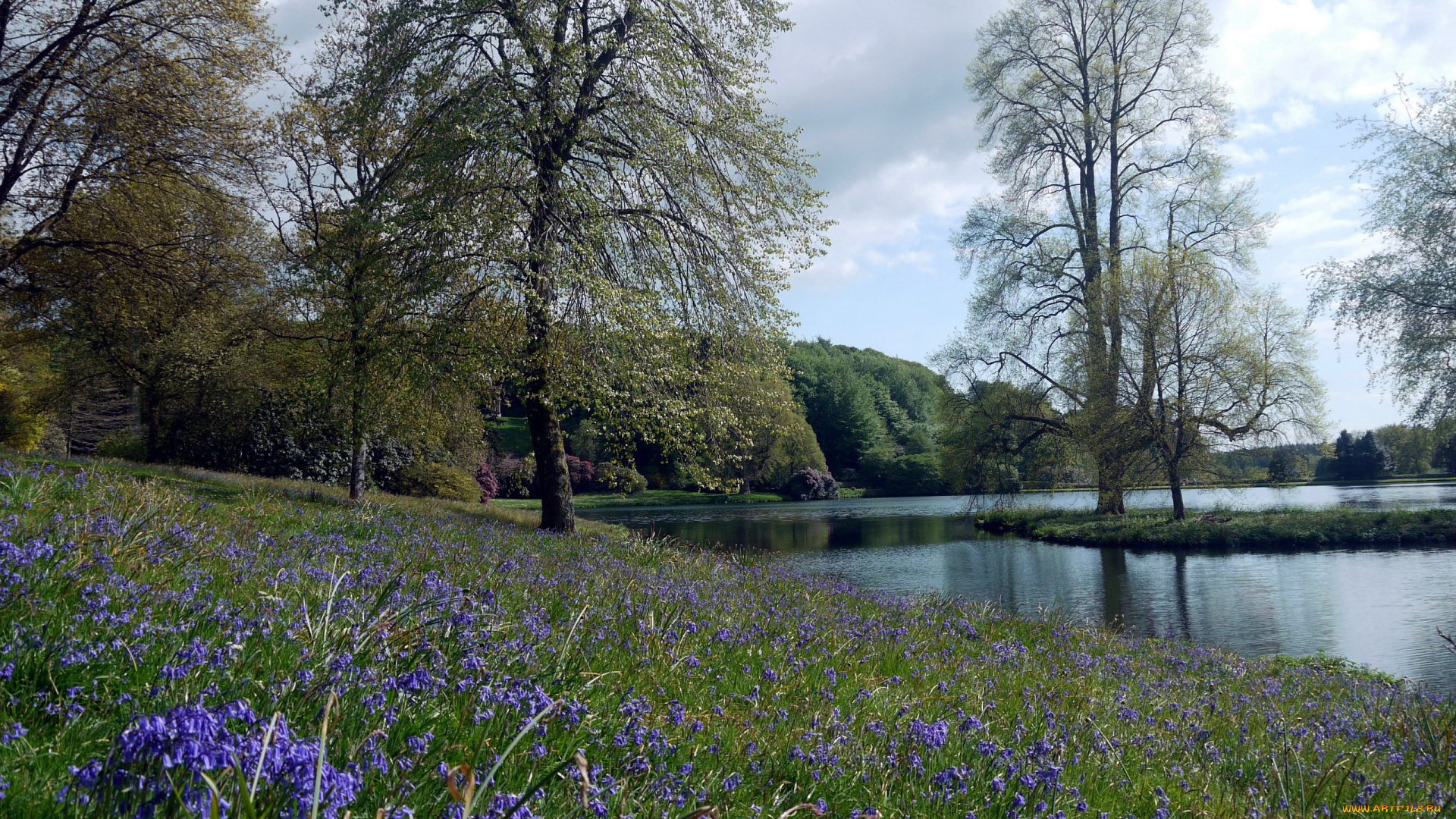 природа, парк, река, деревья, луг