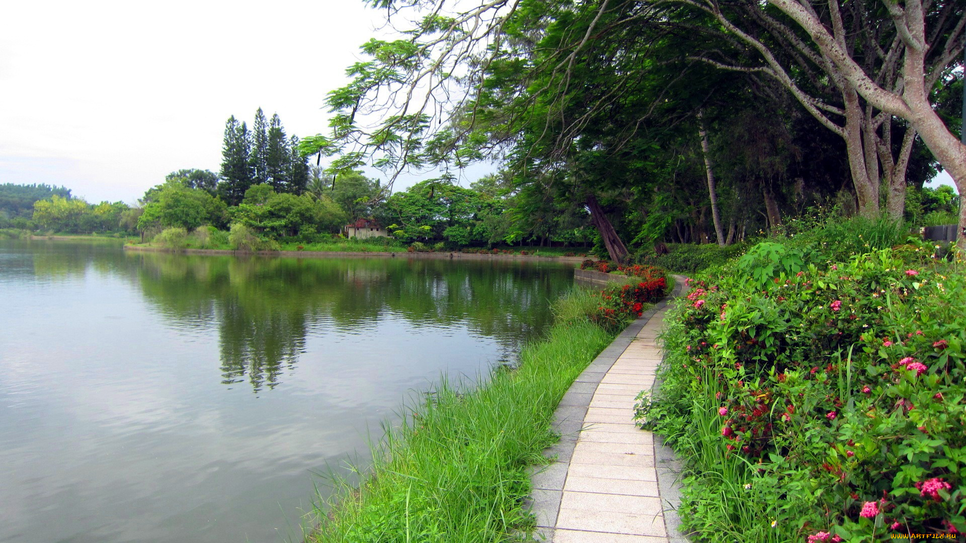 природа, парк, река, дорожка, цветы