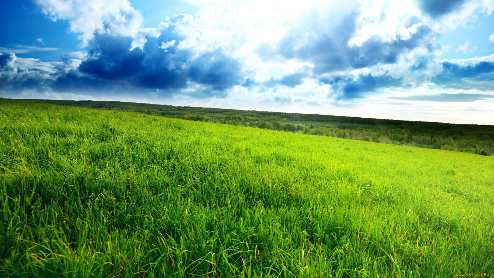 природа, поля, небо, облака, поле