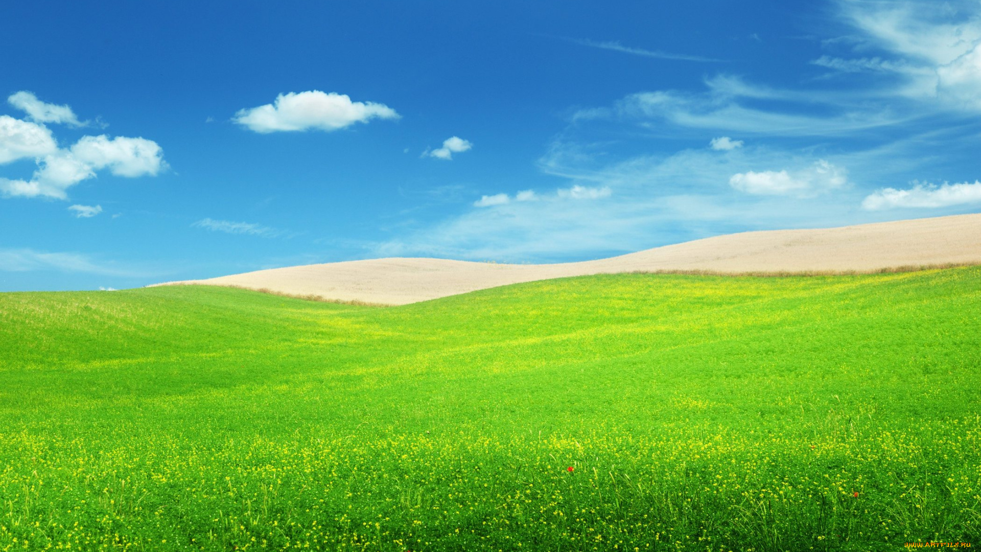 природа, поля, пейзаж, небо, облака, поле