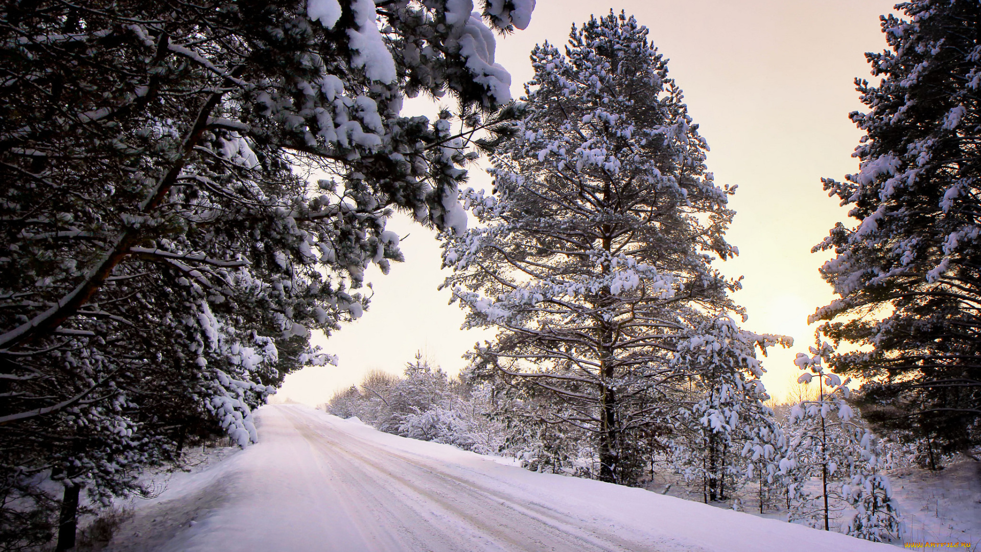 природа, зима, деревья, снег
