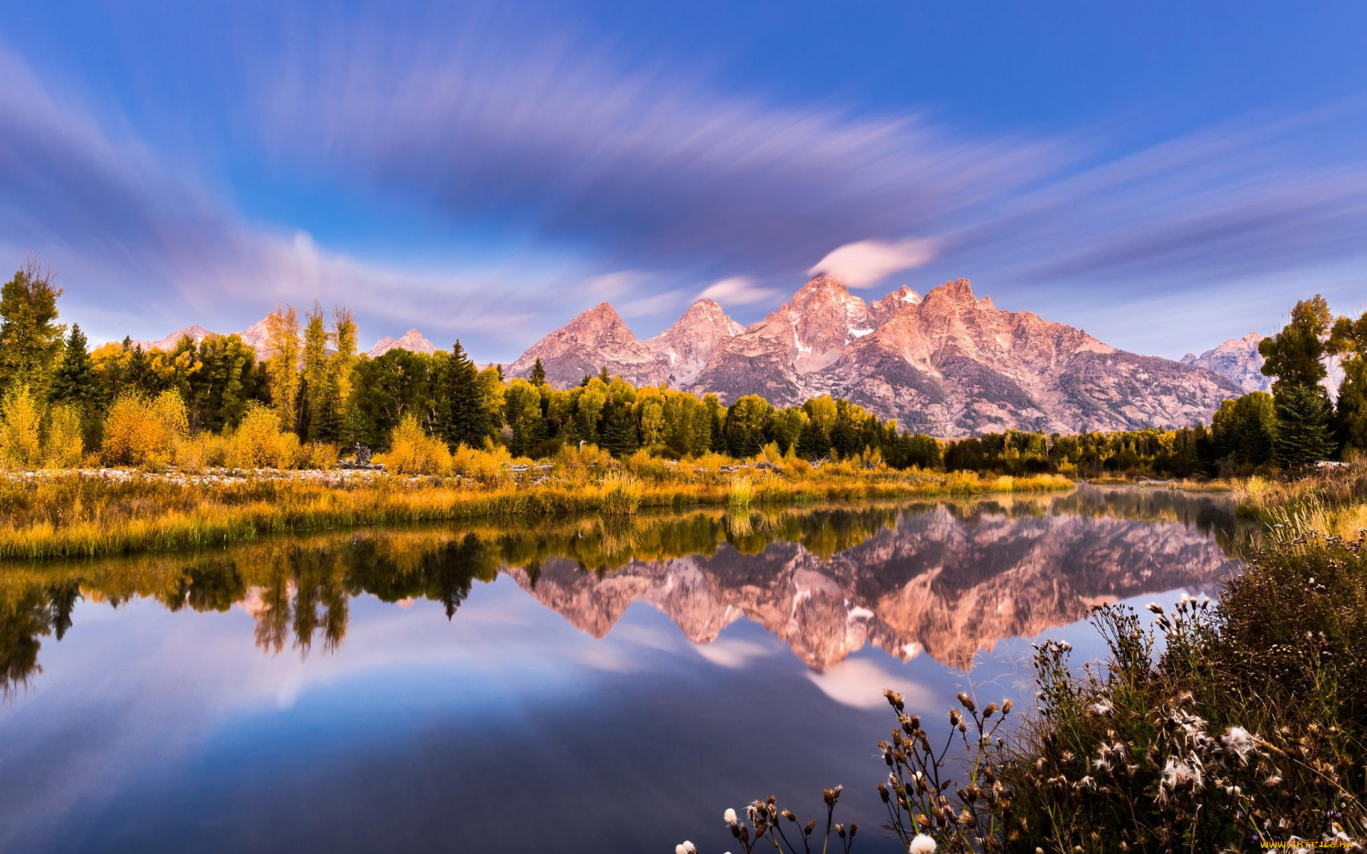 природа, реки, озера, деревья, озеро