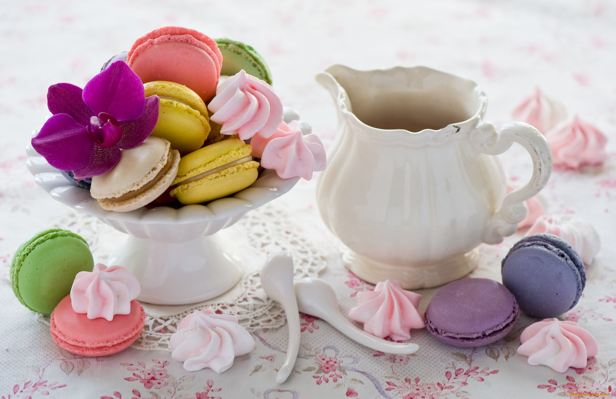 еда, -, макаруны, орхидея, печенье, макарун