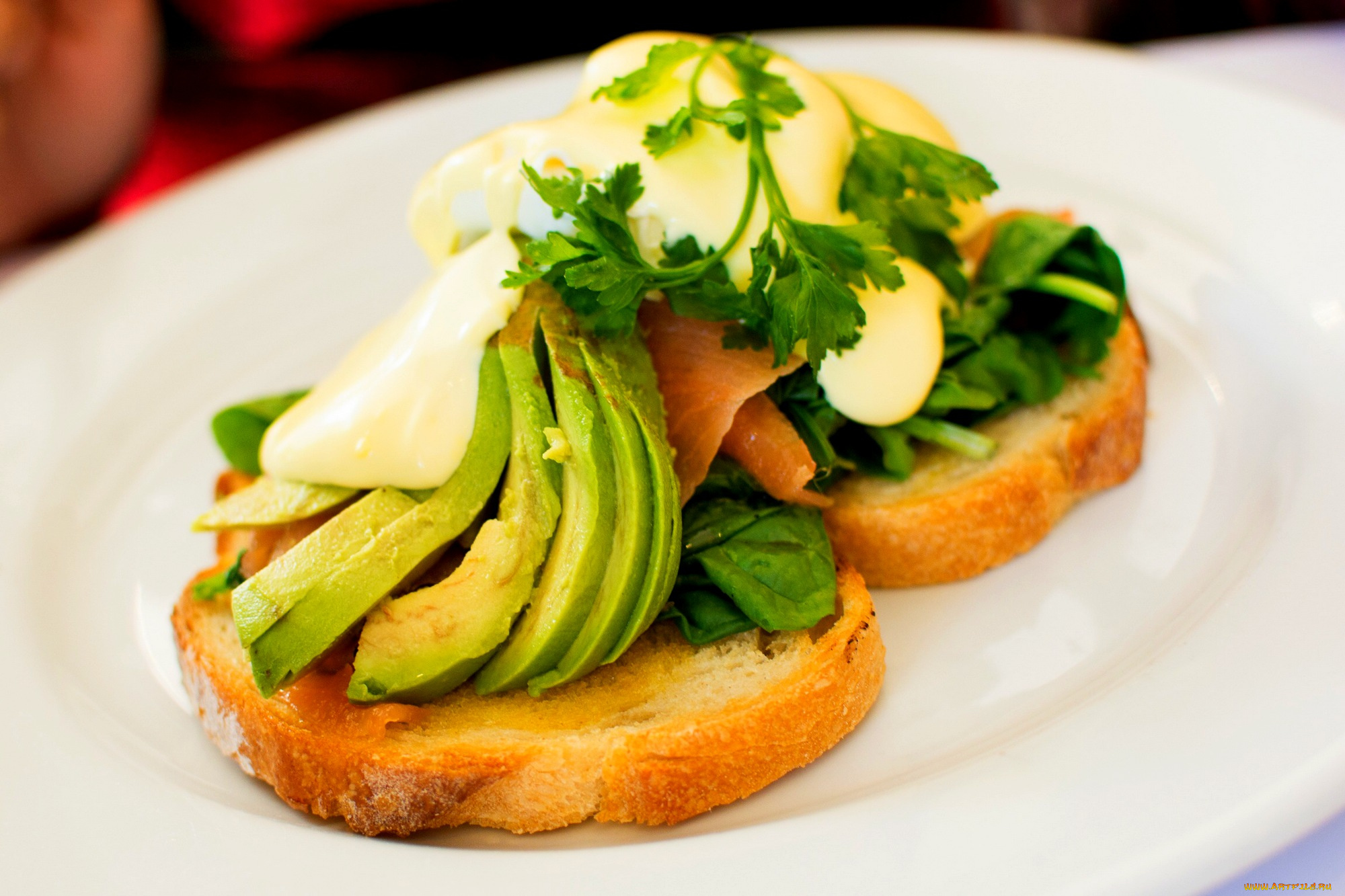 еда, бутерброды, , гамбургеры, , канапе, лосось, сыр, зелень, авокадо