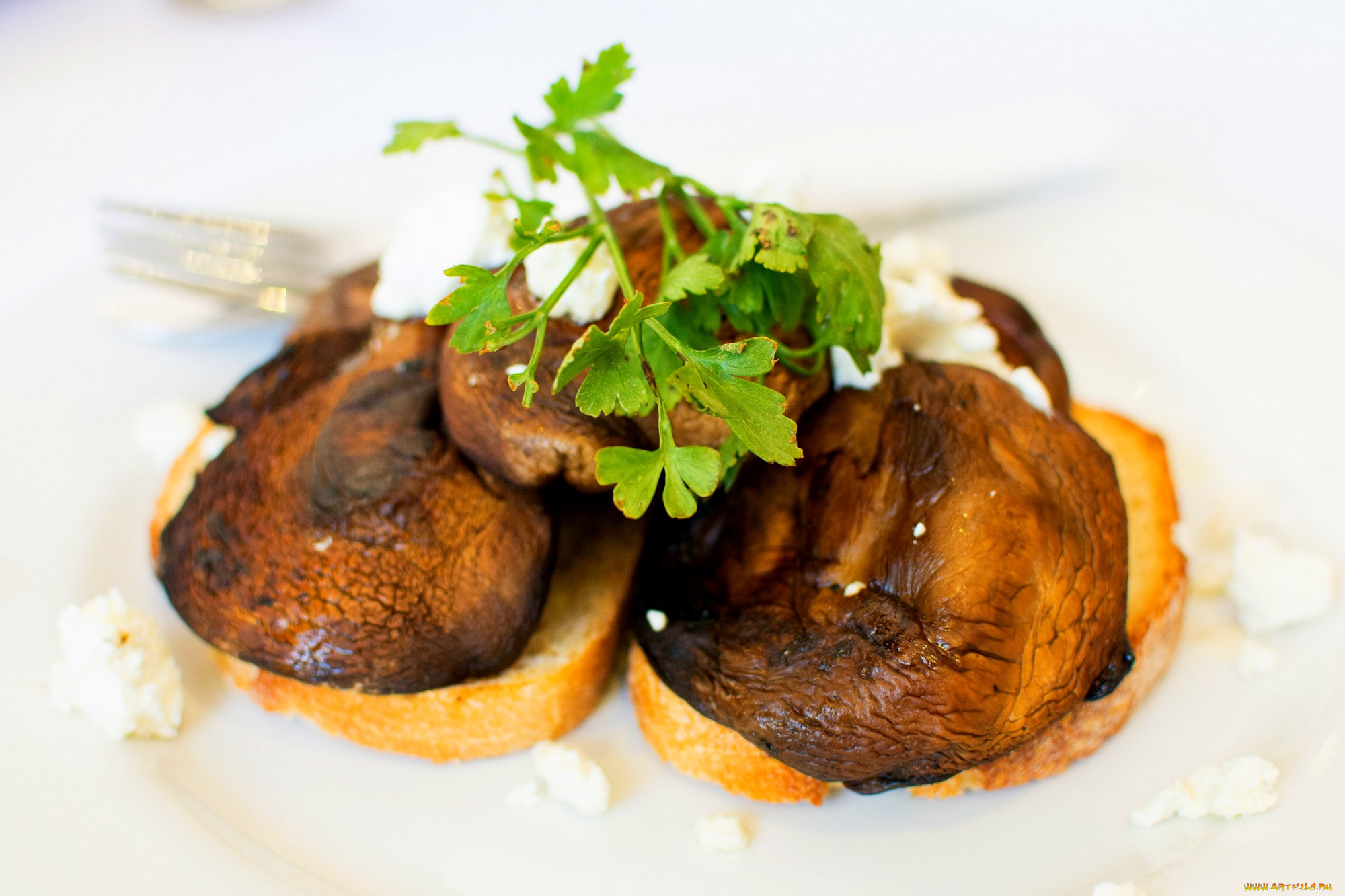 еда, грибы, , грибные, блюда, гренки, жареные, зелень