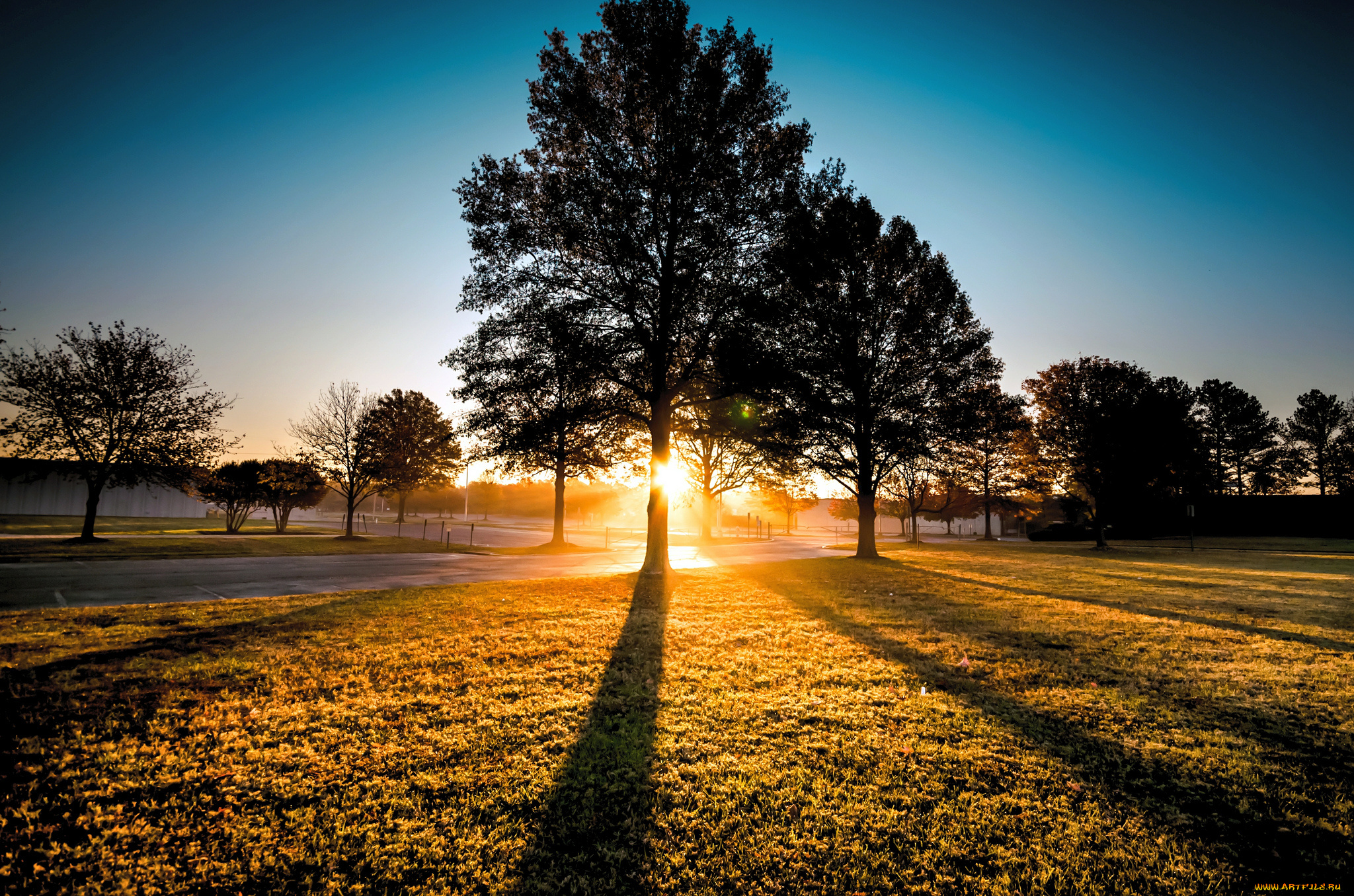 природа, восходы, закаты, сияние, све, деревья, поле, трава