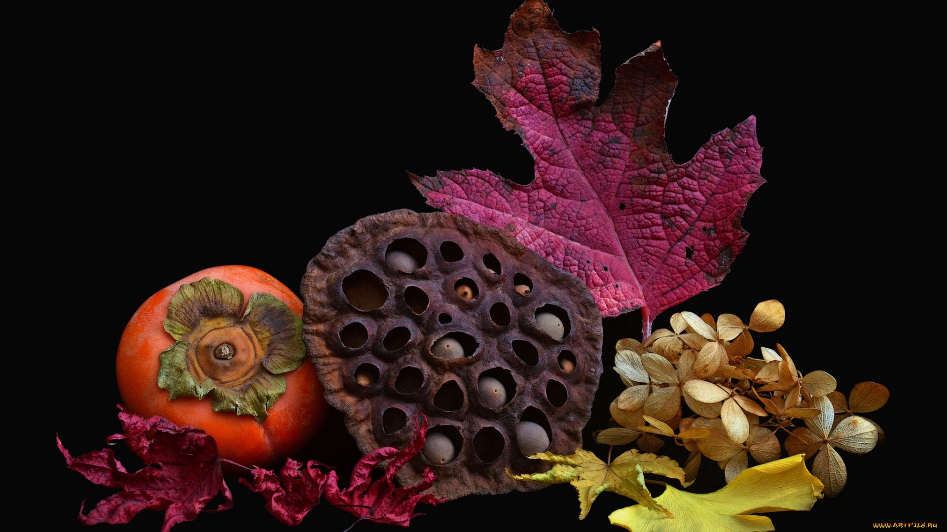 еда, натюрморт, гербарий, хурма