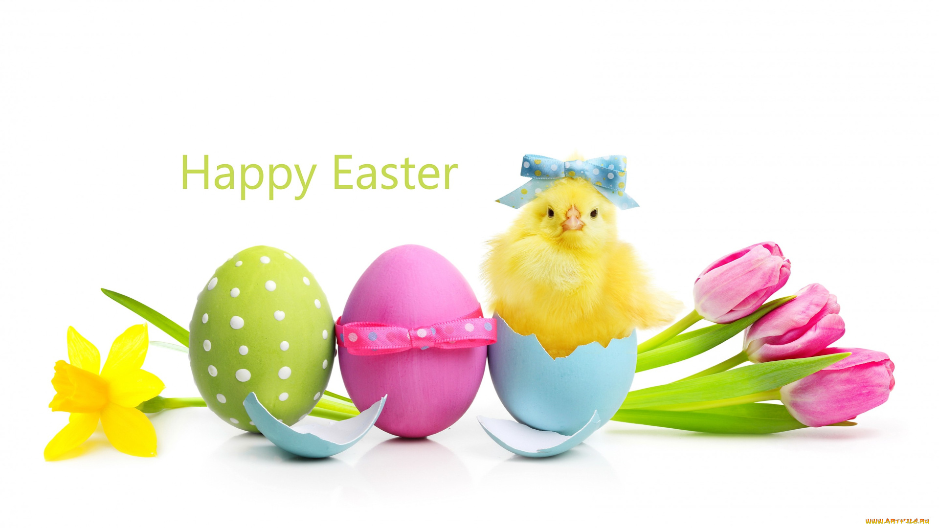 праздничные, пасха, тюльпаны, весна, цветы, spring, tulips, flowers, eggs, easter