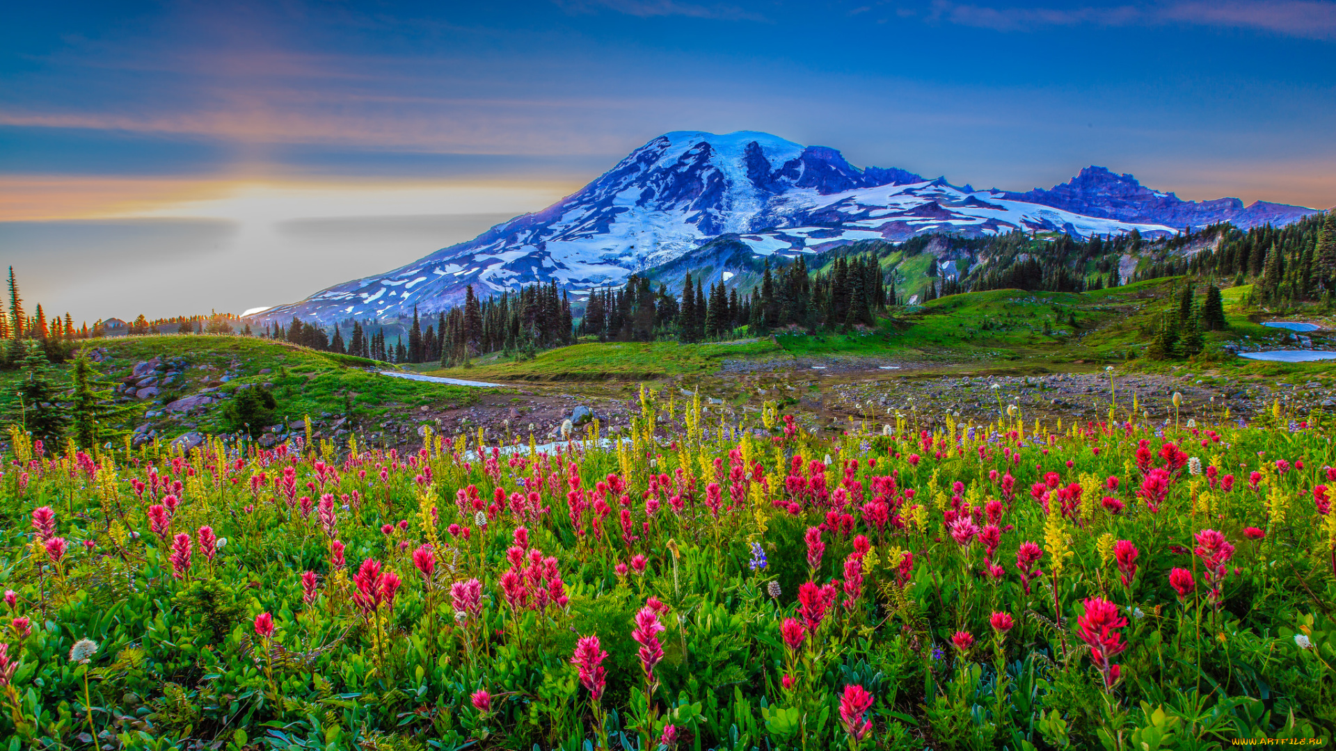 природа, луга, цветы, трава, лес, горы