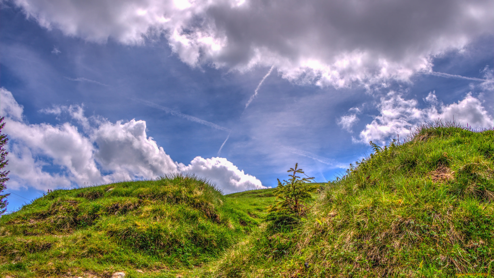 природа, пейзажи, холмы, облака, трава