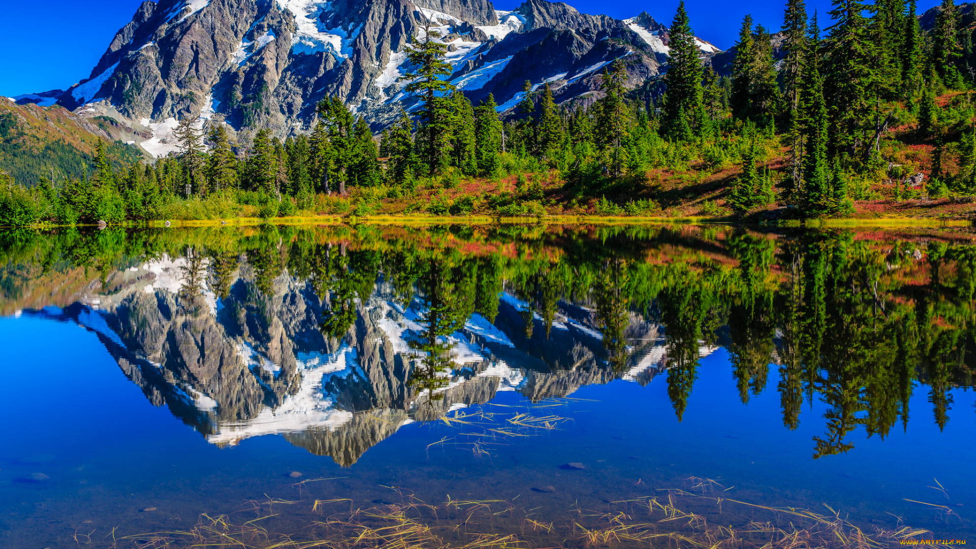 природа, реки, озера, горы, лес, река