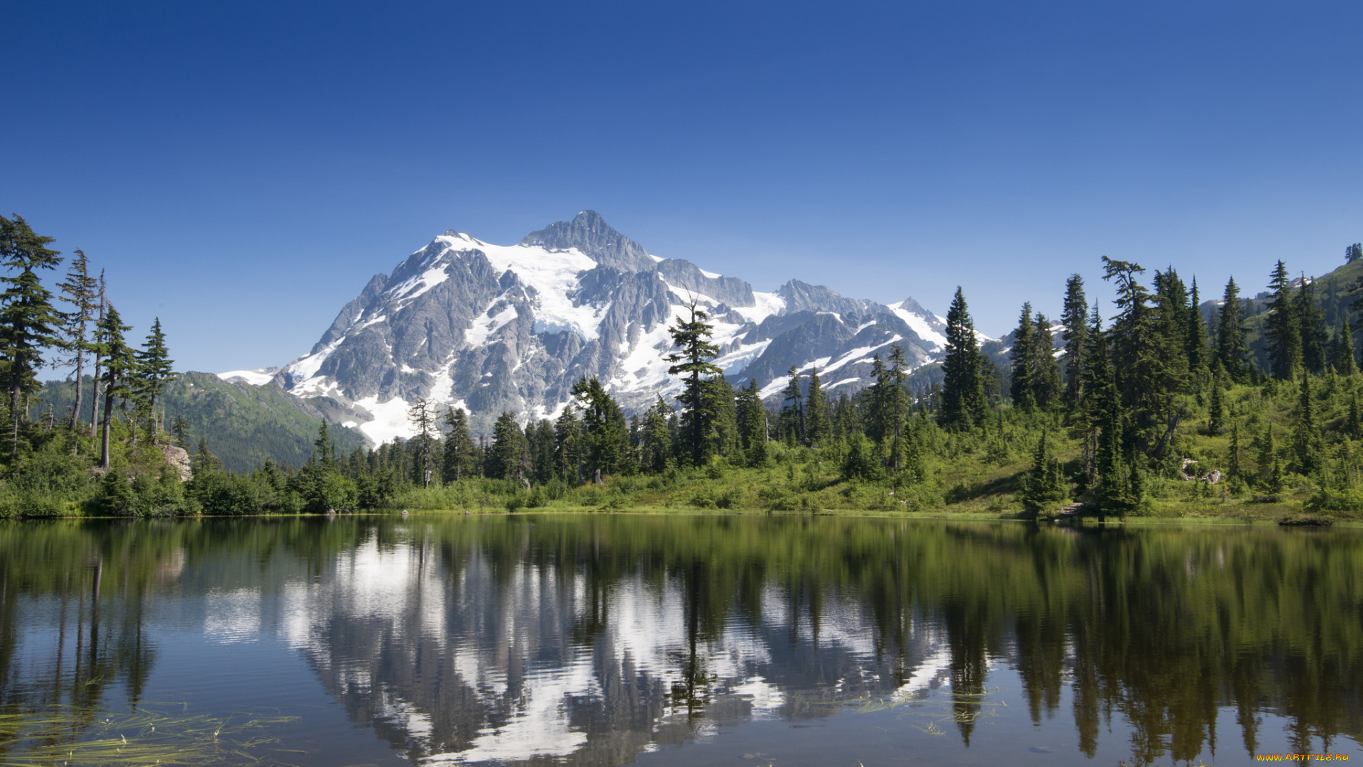 природа, реки, озера, горы, река, лес