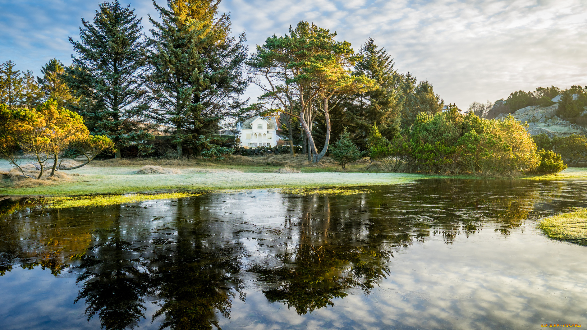 природа, реки, озера, облака, река, лес