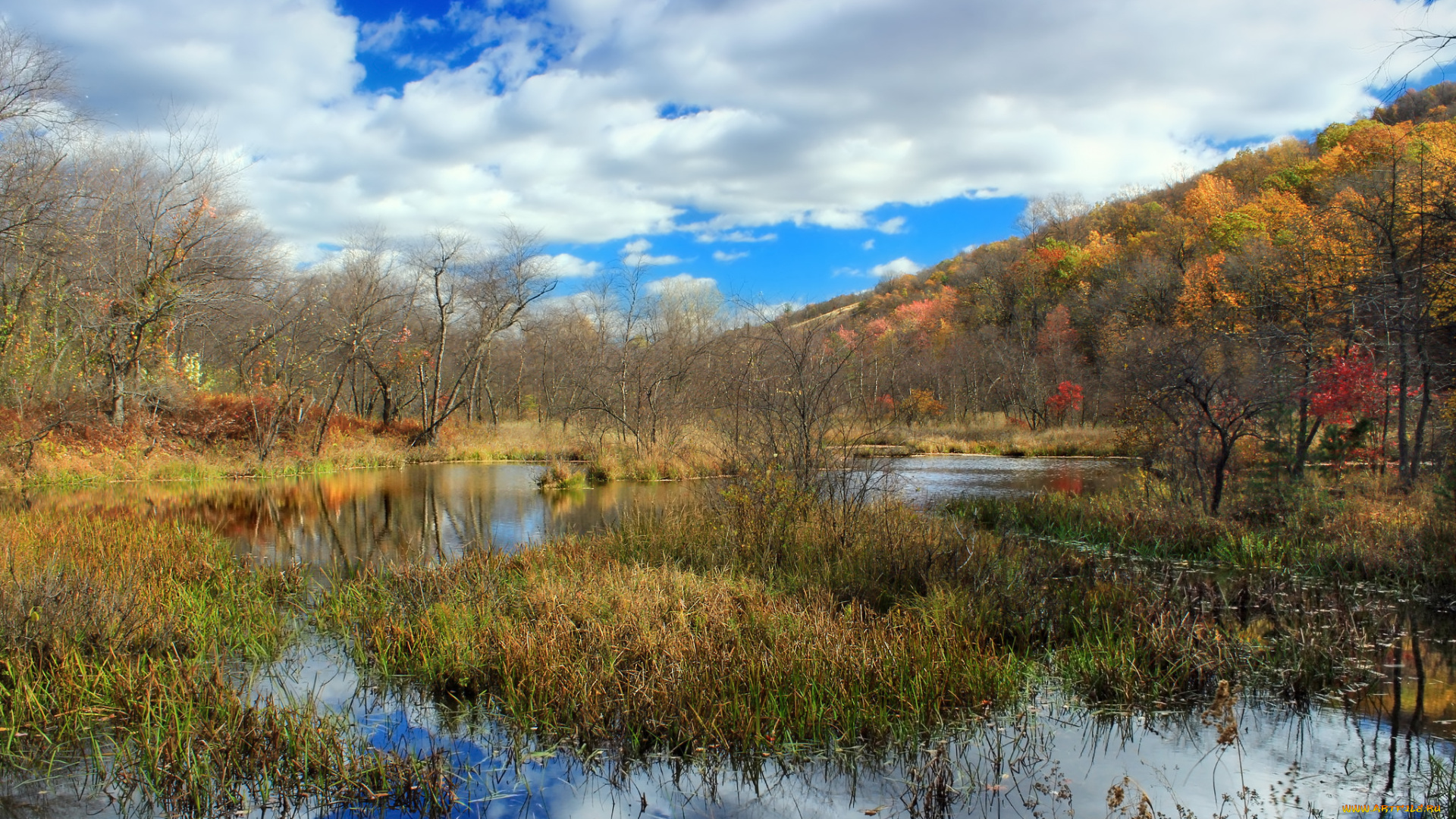 природа, реки, озера, река, лес