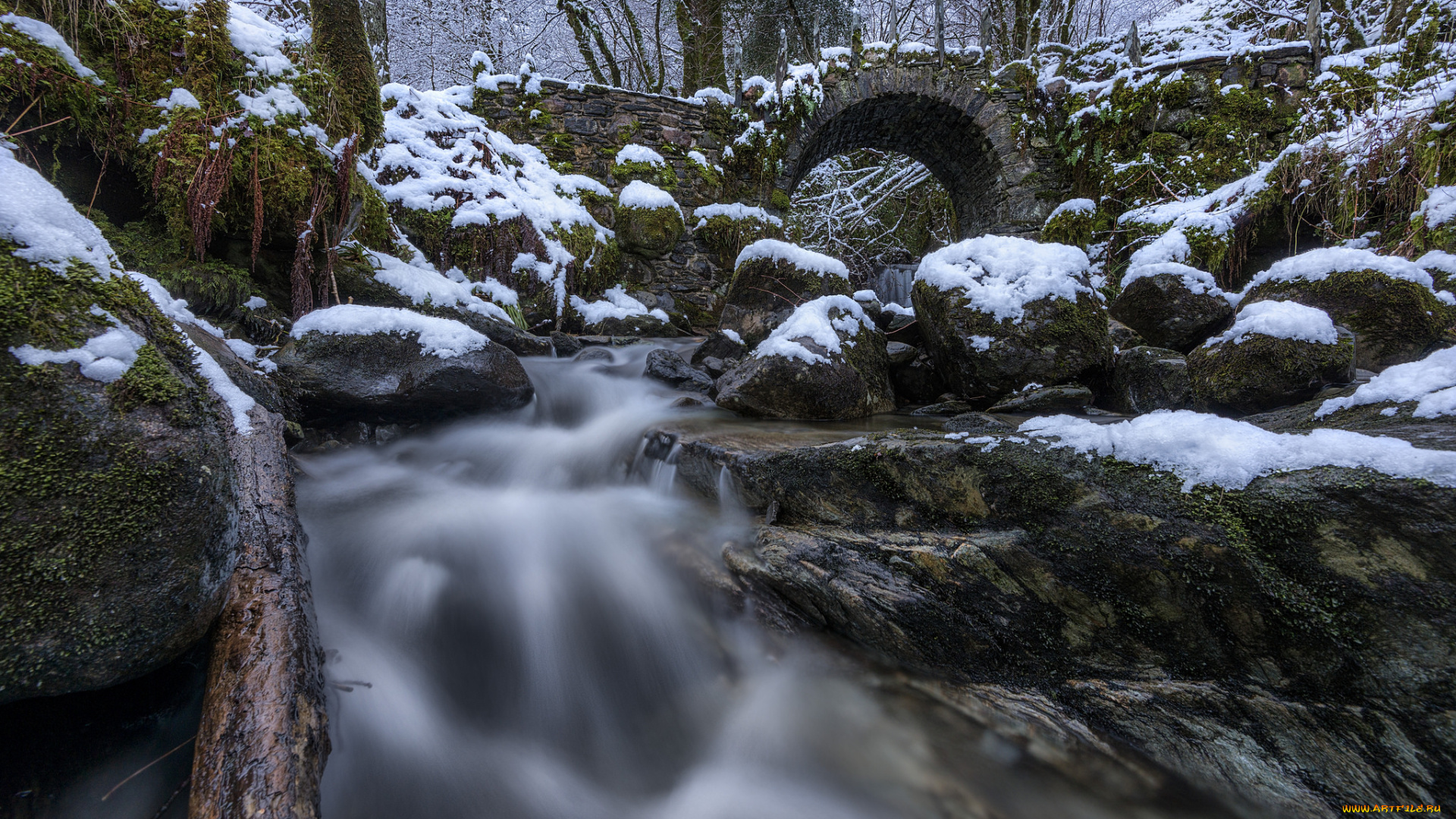 природа, реки, озера, река, лес