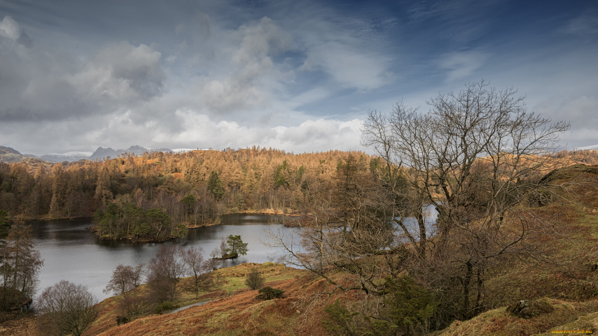 природа, реки, озера, река, лес