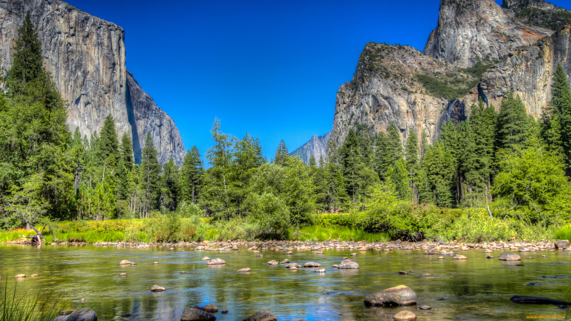 природа, реки, озера, река, лес, горы