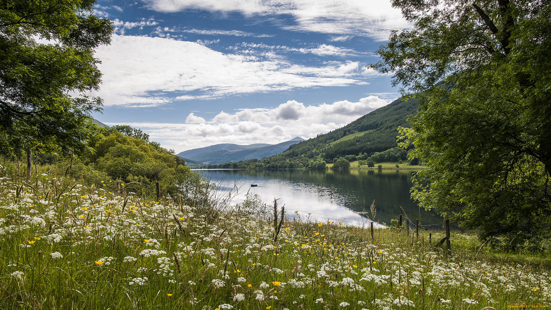 природа, реки, озера, река, лес, горы