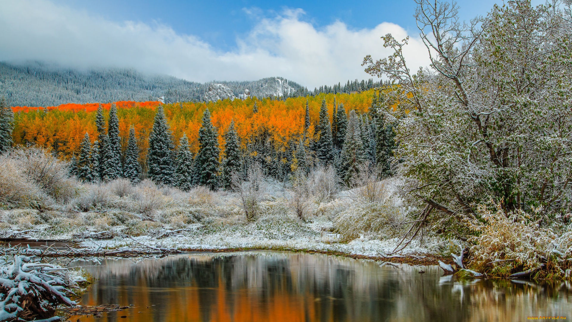 природа, реки, озера, река, лес, горы