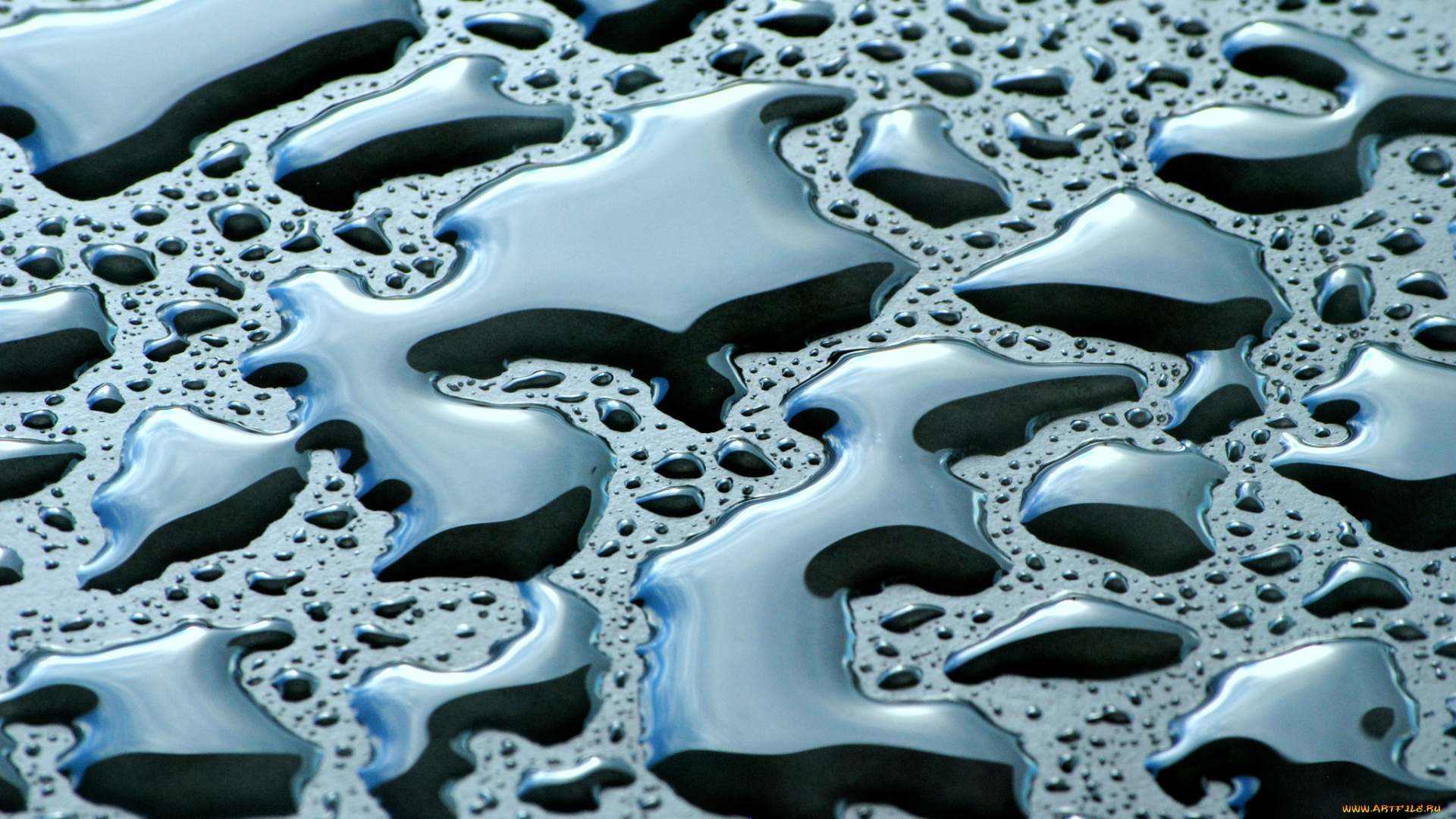 разное, капли, , брызги, , всплески, фон, мокрое, вода