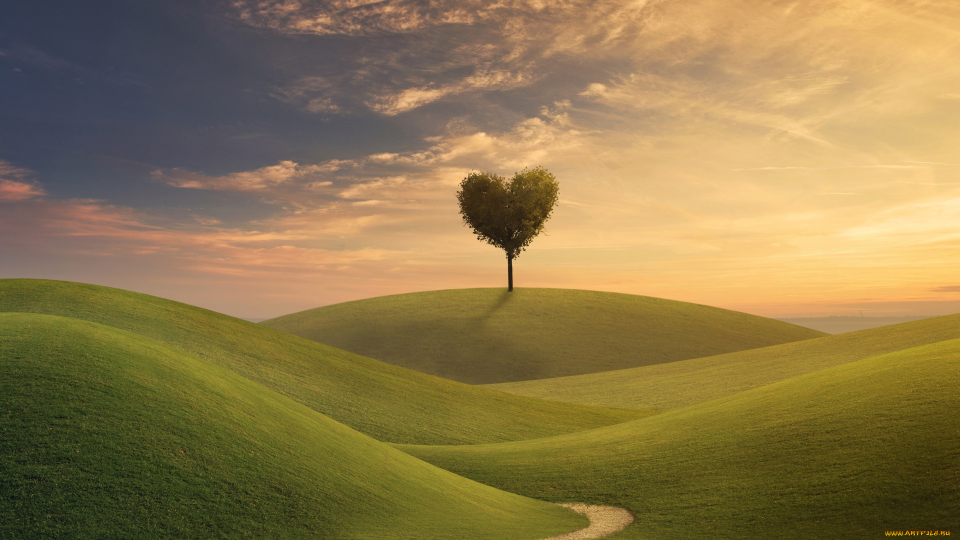 разное, компьютерный, дизайн, крона, седце, креатив, дерево, холмы, дорожка