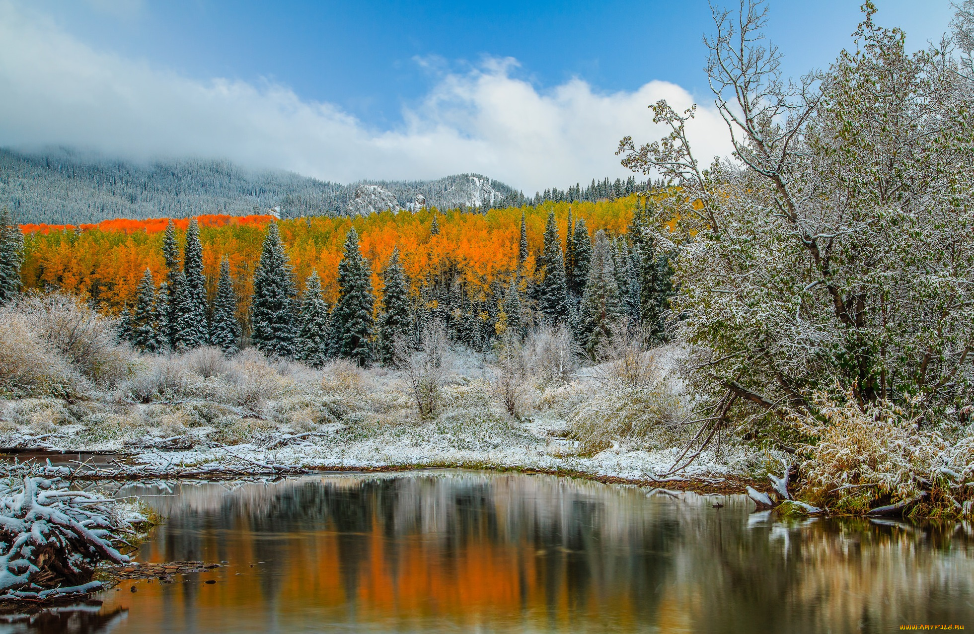 природа, реки, озера, река, лес, горы