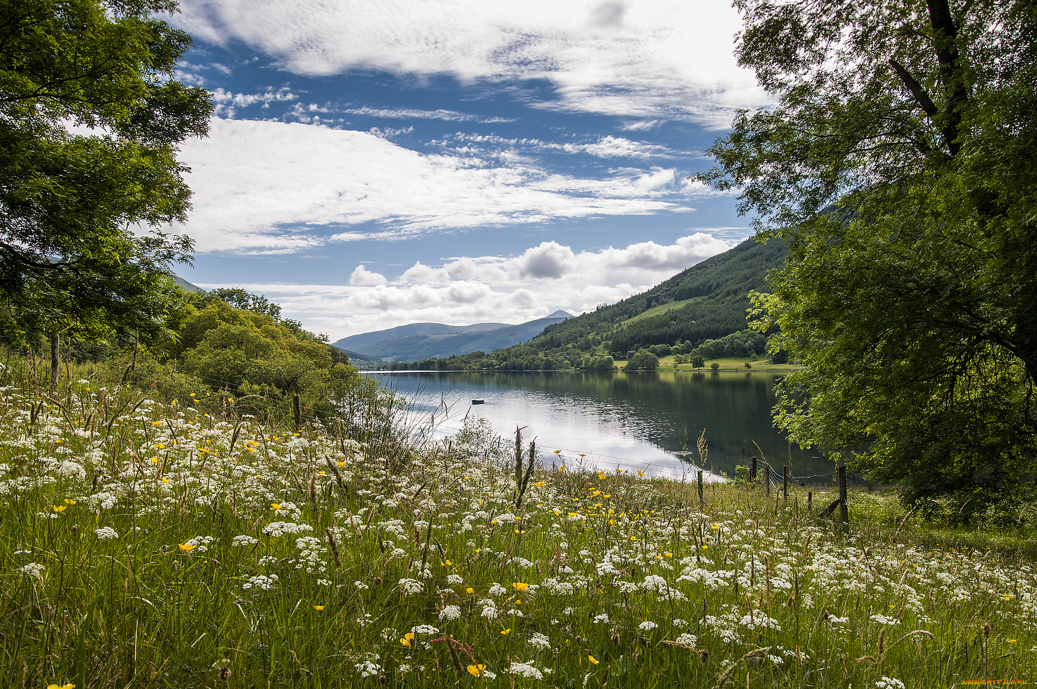 природа, реки, озера, река, лес, горы