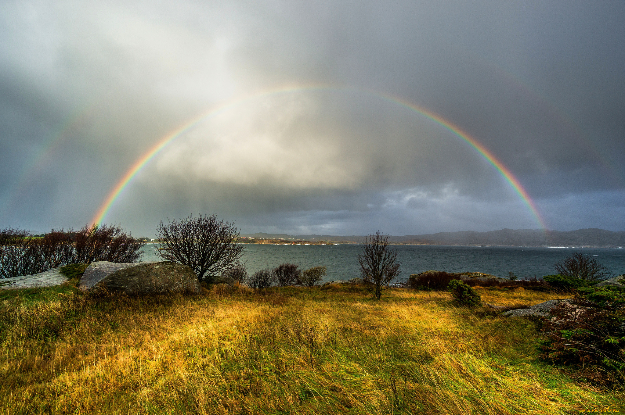 природа, радуга, тучи, иека, луг