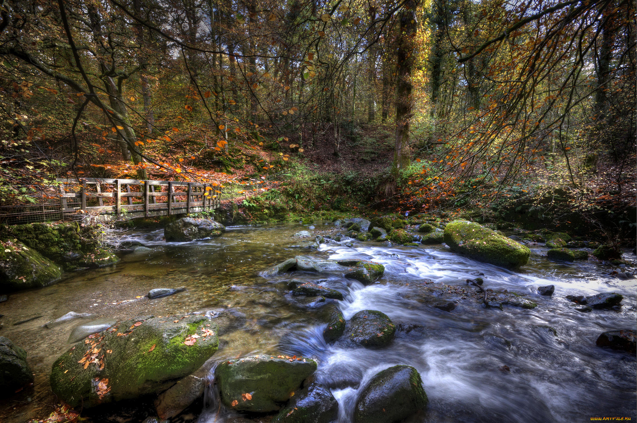 природа, реки, озера, река, лес