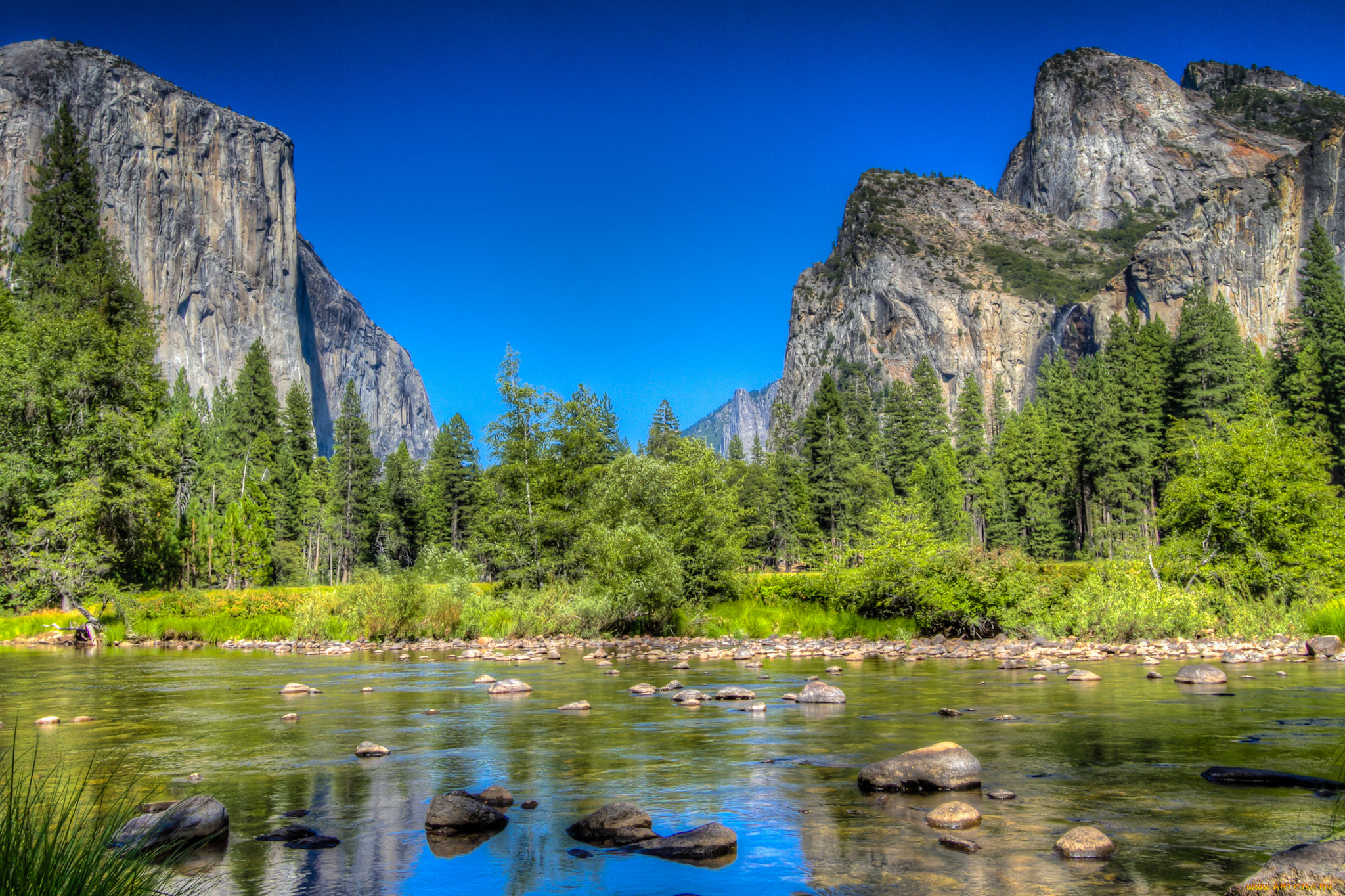 природа, реки, озера, река, лес, горы