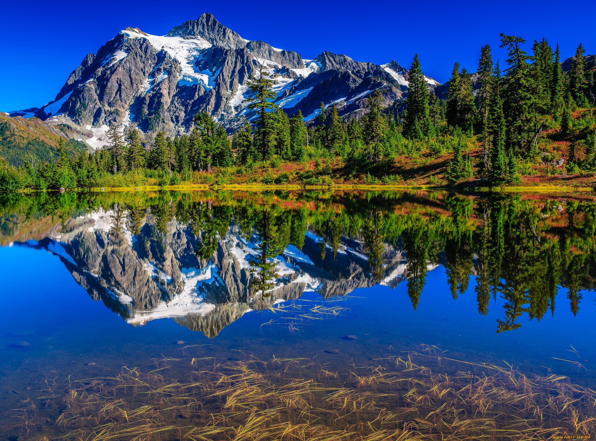 природа, реки, озера, горы, лес, река