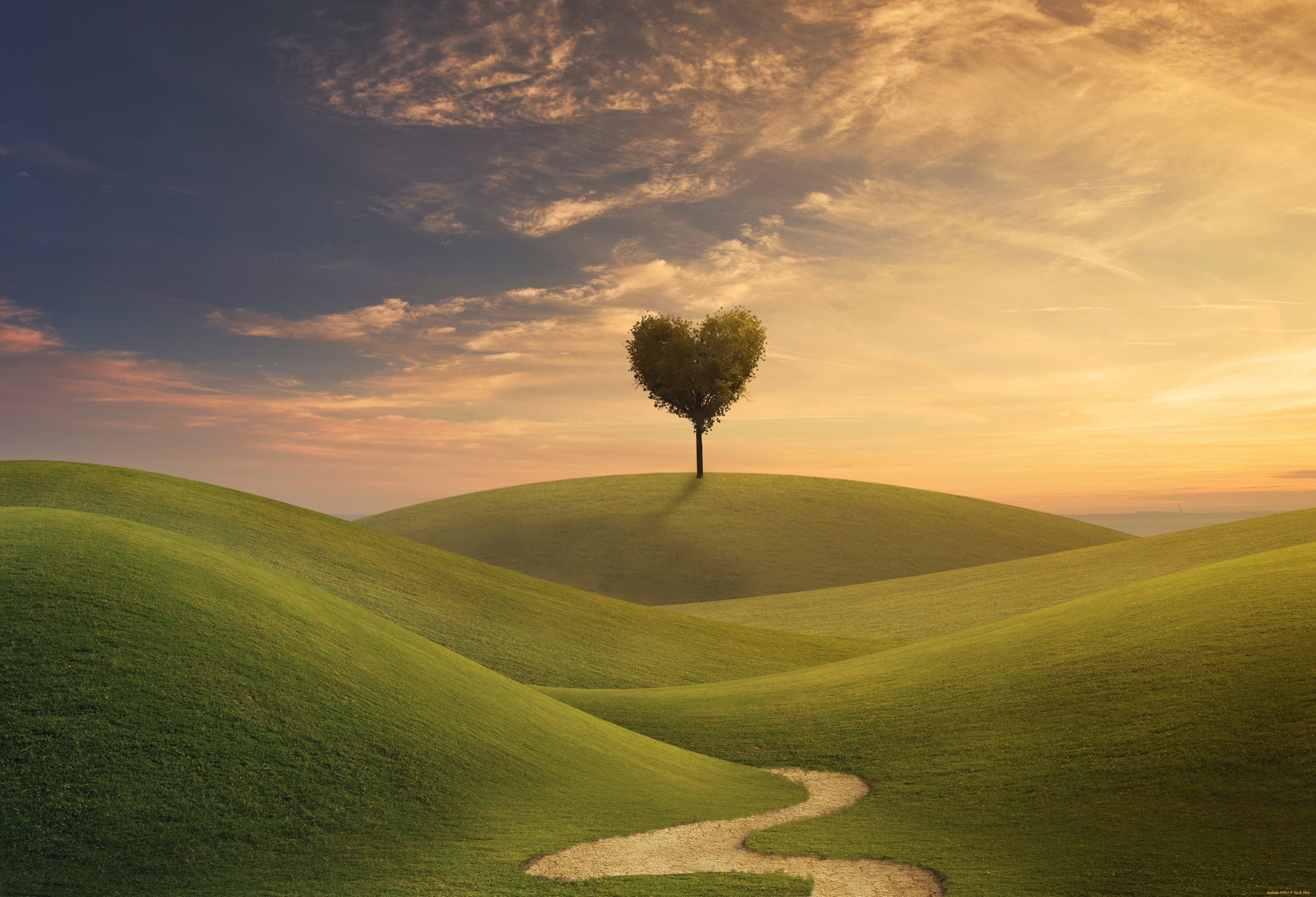 разное, компьютерный, дизайн, крона, седце, креатив, дерево, холмы, дорожка